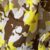 Fantasia Militare/giallo